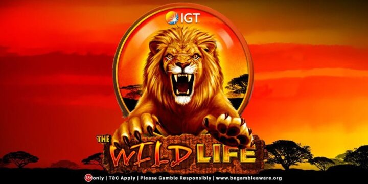 Unleash Your Wild Side with Wildlife Game Free Downloads: An Ultimate Guide for Online Gamblers